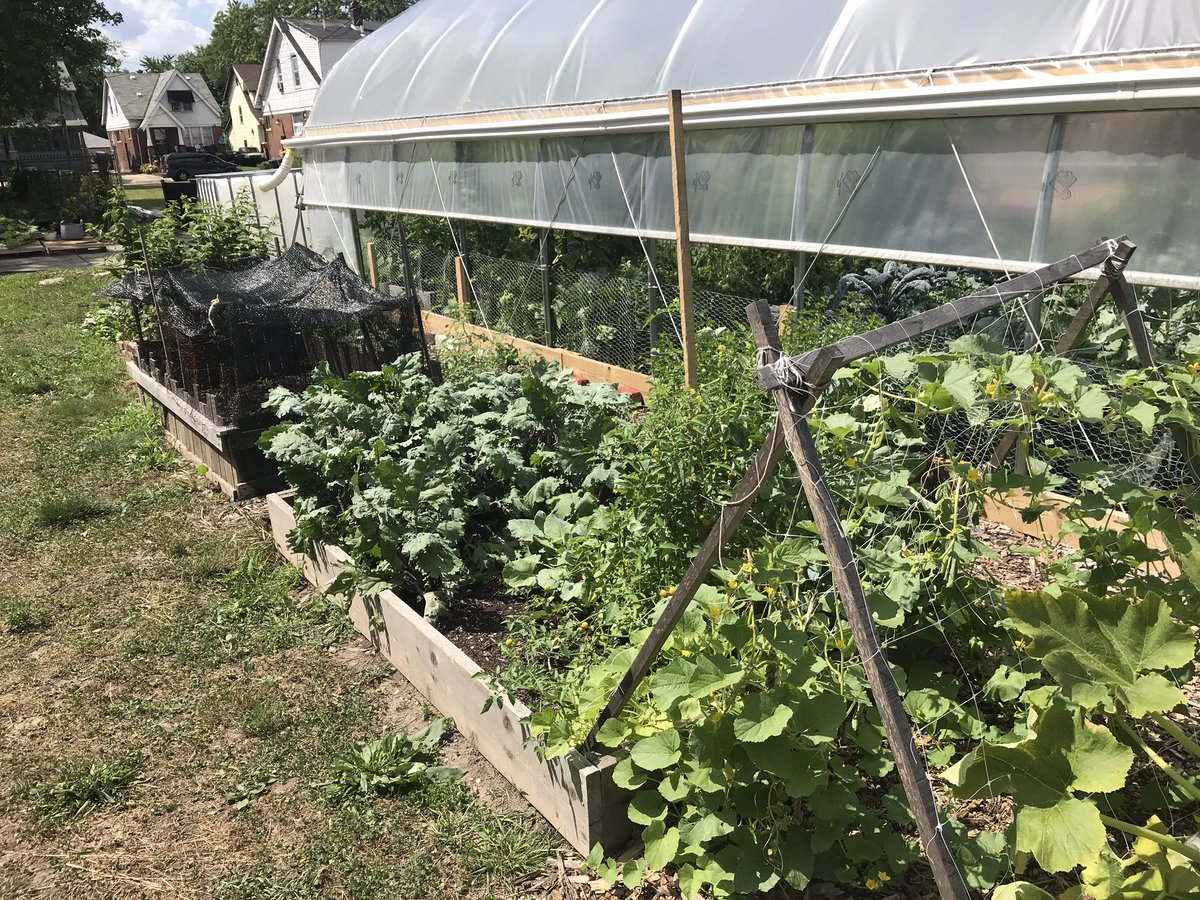 DigitalXDruid's tweet photo. I met Wonder Woman this week!  This master garden put up a high tunnel and helps grow food for her community https://t.co/YNbL7uWTMd