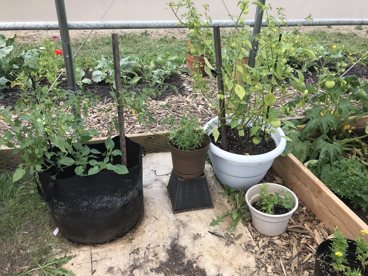 DigitalXDruid's tweet photo. I met Wonder Woman this week!  This master garden put up a high tunnel and helps grow food for her community https://t.co/YNbL7uWTMd