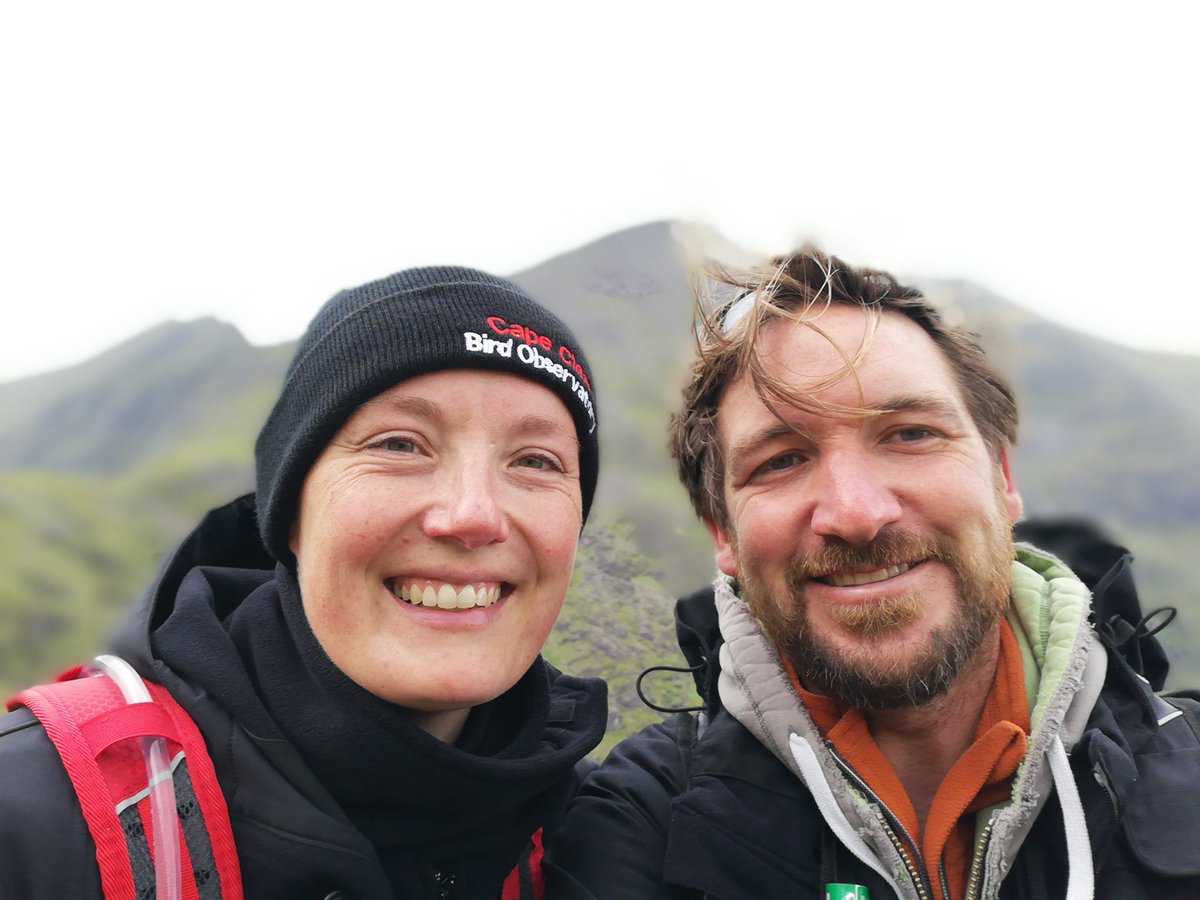 Climbed Carrintoohil (Ireland's highest peak) with @tulkkina and lucky enough to have a view. Only 5 species of wildlife seen on last section of the climb - Raven, Meadow Pipit, Wren, Hare and a Painted Lady! @insectmigration @BirdWatchIE