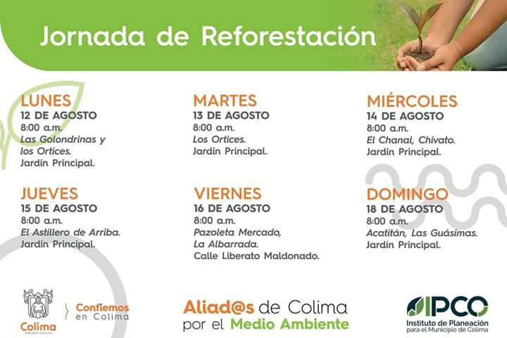 TuAliad's tweet photo. ¡Vamos juntos a reforestar!
Súmate a este esfuerzo de reforestar nuestro municipio y poner nuestro granito de arena para cuidar y proteger el medio ambiente.
#AliadosDeColimaPorElMedioAmbiente #ColimaNatural #CuidemosElMedioAmbiente #SalvaNuestroPlaneta https://t.co/tcbd8umUiy