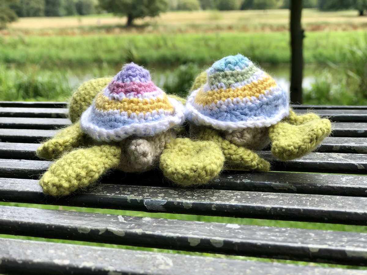 PipsRainbow's tweet photo. Sneaky peak of my next free pattern. A little brother and sister chilling out in @AttinghamParkNT @nationaltrust Happy Days!! ๐Xx #amigurumi #crochettoy #turtle #crochetturtle #usingupyear #crochet #crocheting #crochetaddict #freepatterns #freecrochetpattern #mumsthatblog #craft https://t.co/6SecOEYxLW