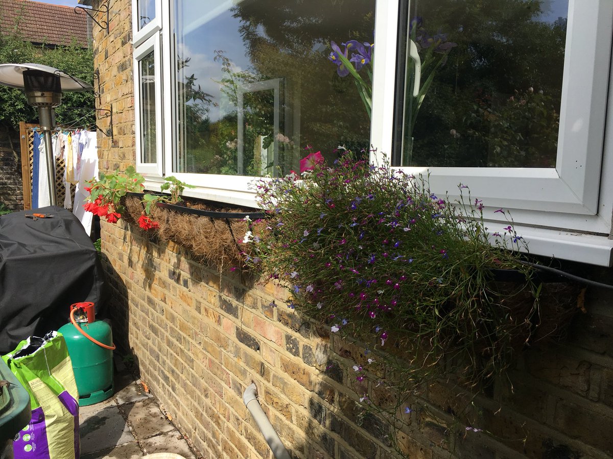 jan_hitchcock's tweet photo. Lawns mowed. Garden tidy. Window boxes sorted. My kind of day #NurseActive @ImperialNHS #offdutyfun @MarcelleTauber @TraceyGalletly https://t.co/pzBOHT335M