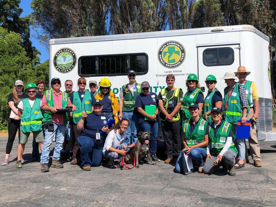 Jameson Rescue Ranch tweet media