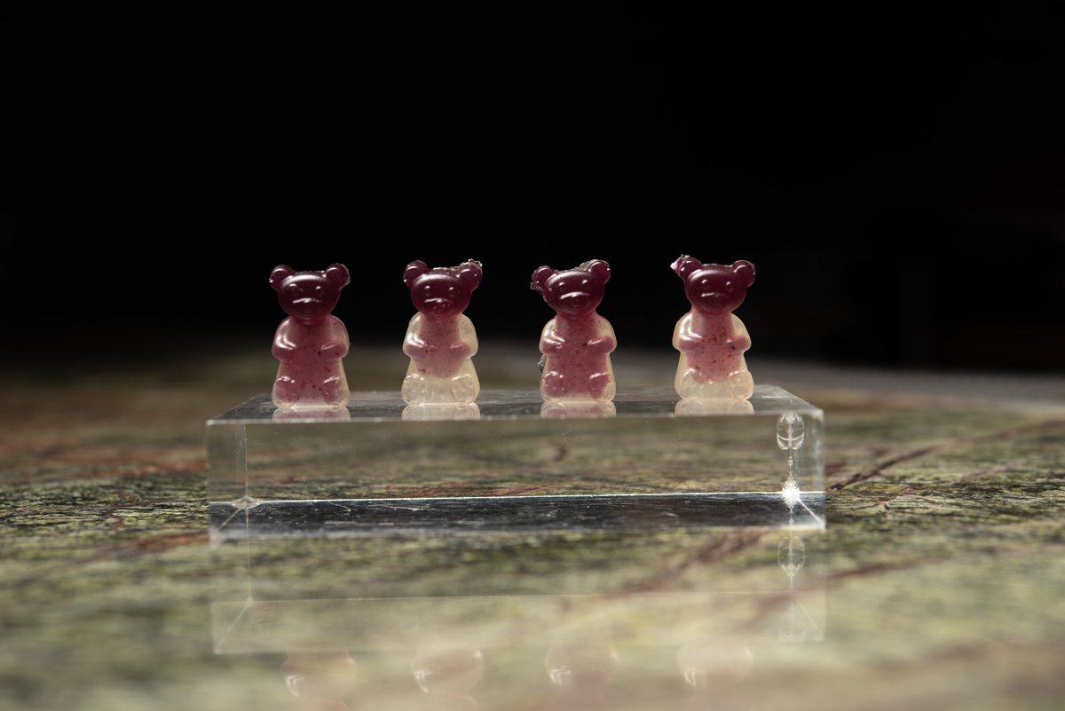 The Boozy Bears… summer berry cocktail collection.