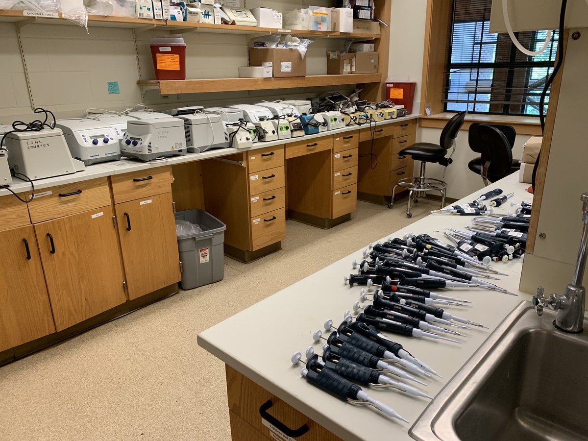 Farewell <a href="/cshlgnx/">CSHL Gene Expression</a>! Big thanks to <a href="/tollkuhn/">Tollkuhn</a>, Robert Bronstein, and Dennis Plenker! So great to work with <a href="/AdelmanLab/">AdelmanLab</a> &amp; <a href="/ChromaTownie/">Aaron Johnson</a>, &amp; TAs - <a href="/Roger5mith/">Roger Smith</a>  <a href="/egkaye/">Emily Kaye</a> @AlZuko1 &amp; <a href="/bmart87/">Ben Martin</a>! And to learn from our fantastic speakers!Most of all - the incredible students!!