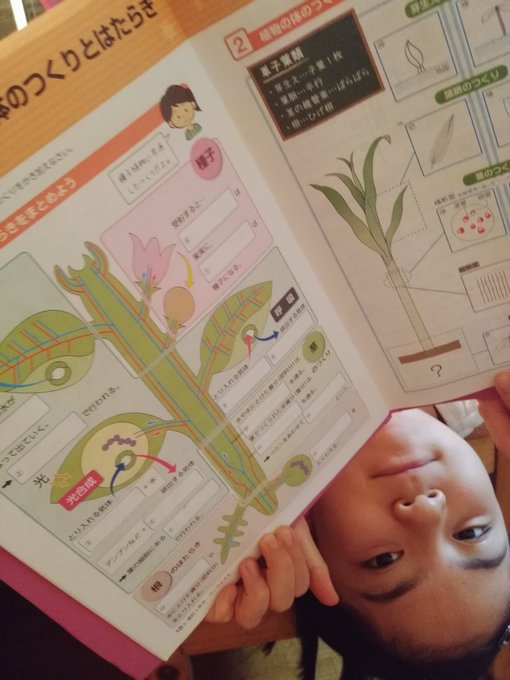 Twitterのコスプレ画像16