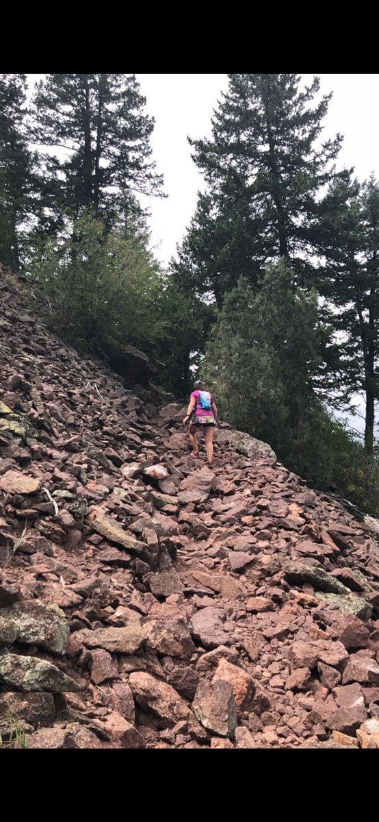 kimpossibleont1's tweet image. 7 miles on the Green Mountain trail in Colorado 🤩. 
#gethighcolorado #coloradotrails