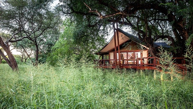 TuliLodge's tweet photo. Surrounded by natural bush and expansive lawns, the tented and classic suites at Tuli Safari Lodge provide you with a luxurious haven whilst still allowing you to feel at-one with nature.
#luxurysafari #TuliSafariLodge #botswana #travel #visitTuli #travel #exploreAfrica https://t.co/yBhYQdWc7C