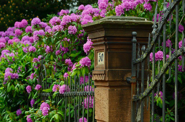 huubid's tweet photo. Here are 18 Cool #DIY Ideas To Make Your #Garden Look Great >> https://t.co/LKEhCxJIwK https://t.co/t9QD9TisYG