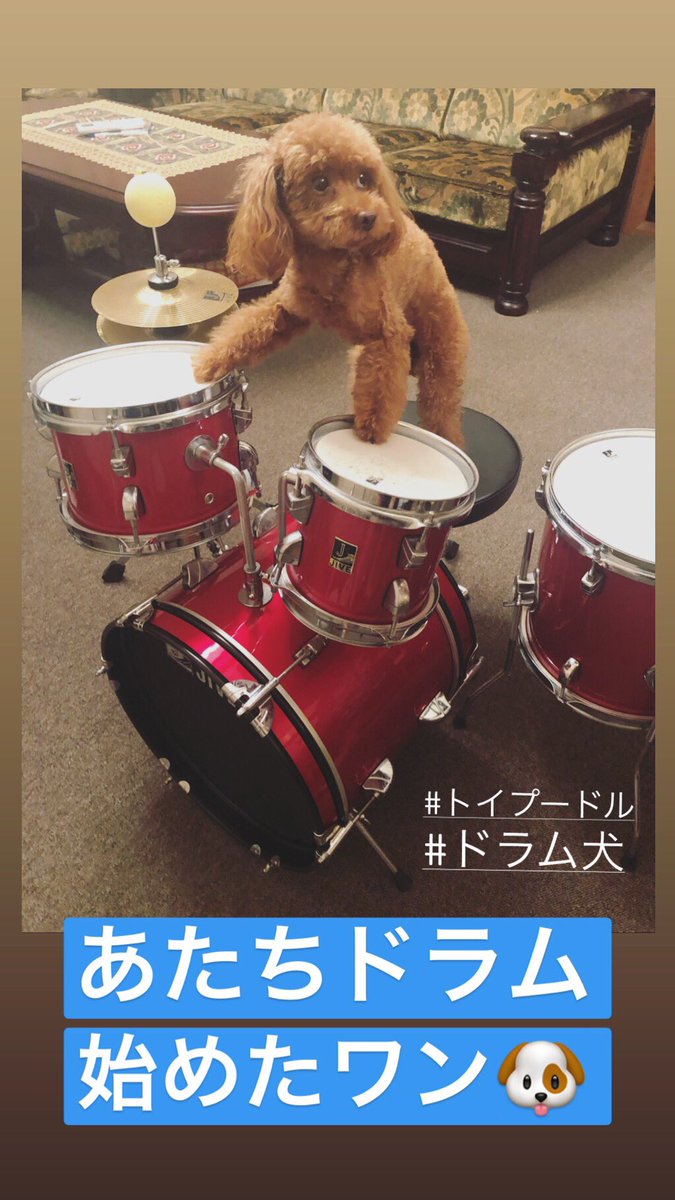 moa704 tweet picture