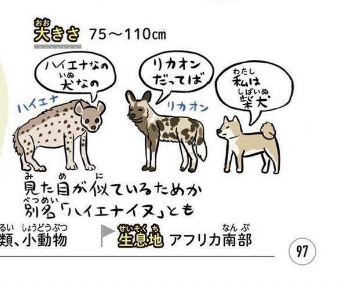 ぬまがさワタリ ライオン キング でも積極的にネガキャンされているハイエナにまつわる色々な誤解を解く記事 弱い動物で 死骸ばかり食べている などのステレオタイプを覆す ヘミングウェイが 両性具有 とか言ってdisっていた件は一定の根拠が