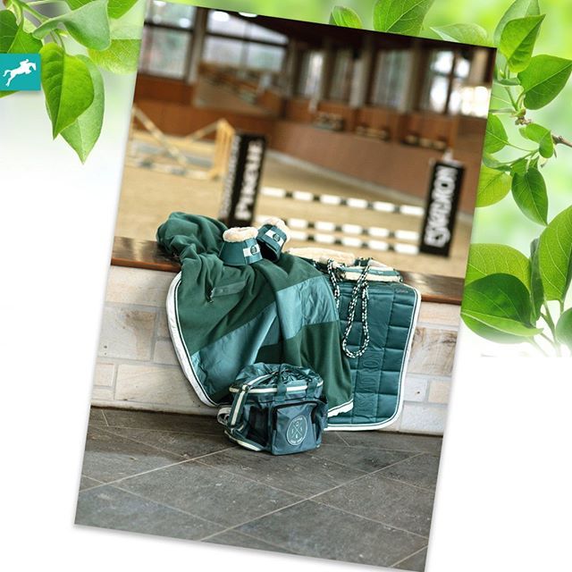 equestperform's tweet photo. 2019 - Seapine Green Collection 💚🌲 @pikeur_eskadron #luxury #equestrian #horse #equine #goals #pretty #dream ⁣ https://t.co/iKuP5jmrBh