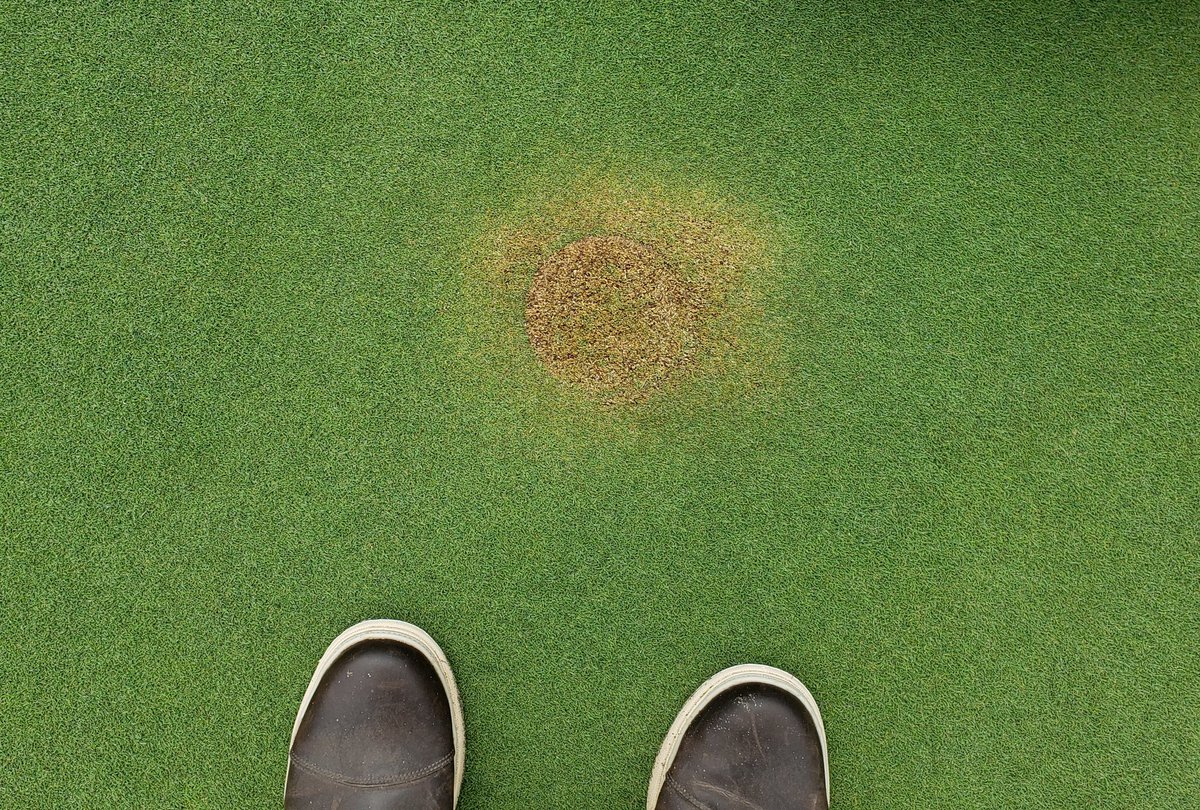 bcgolfsuper's tweet photo. @cchesh44 @grumpysuper
#superintendentproblems https://t.co/mXHPpZFrzG