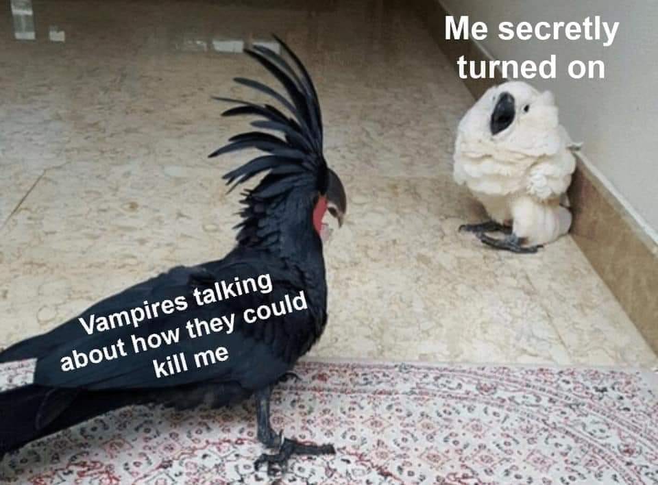 mostlyvampires's tweet image. 