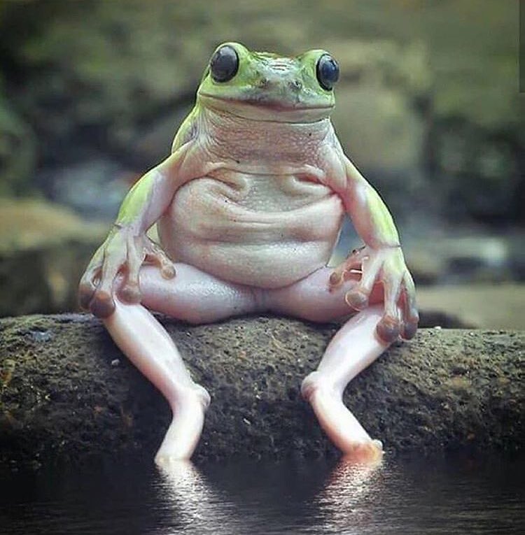 Mariya Alexander tweet media