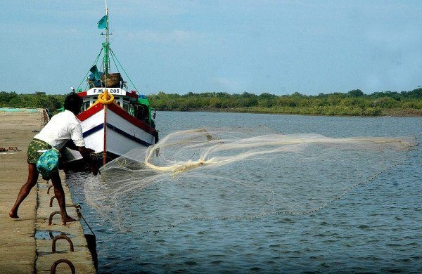 Chennai fishermen elated as city to have standalone tuna fishing harbour – The New Indian Express chennaiinformer.com/121261/chennai…
