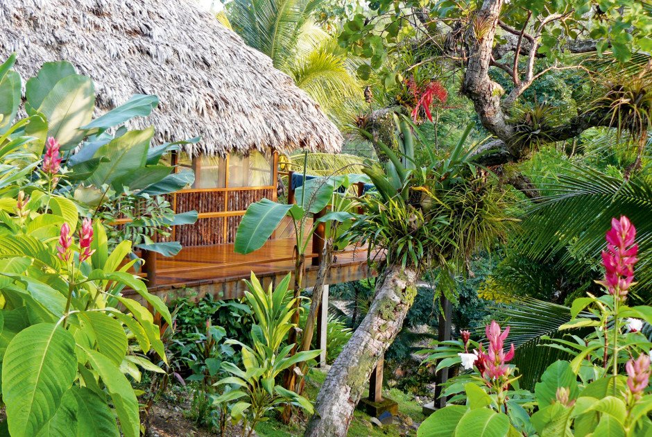 AdventuresBz's tweet photo. Discover the hidden gems of northern Belize, start planning here: https://t.co/NKLw24GY7J

#Belize #AdventuresinBelize #AdventureVacations #BelizeTravel #BelizeAllInclusive #BelizeResorts https://t.co/E112A7TFUk