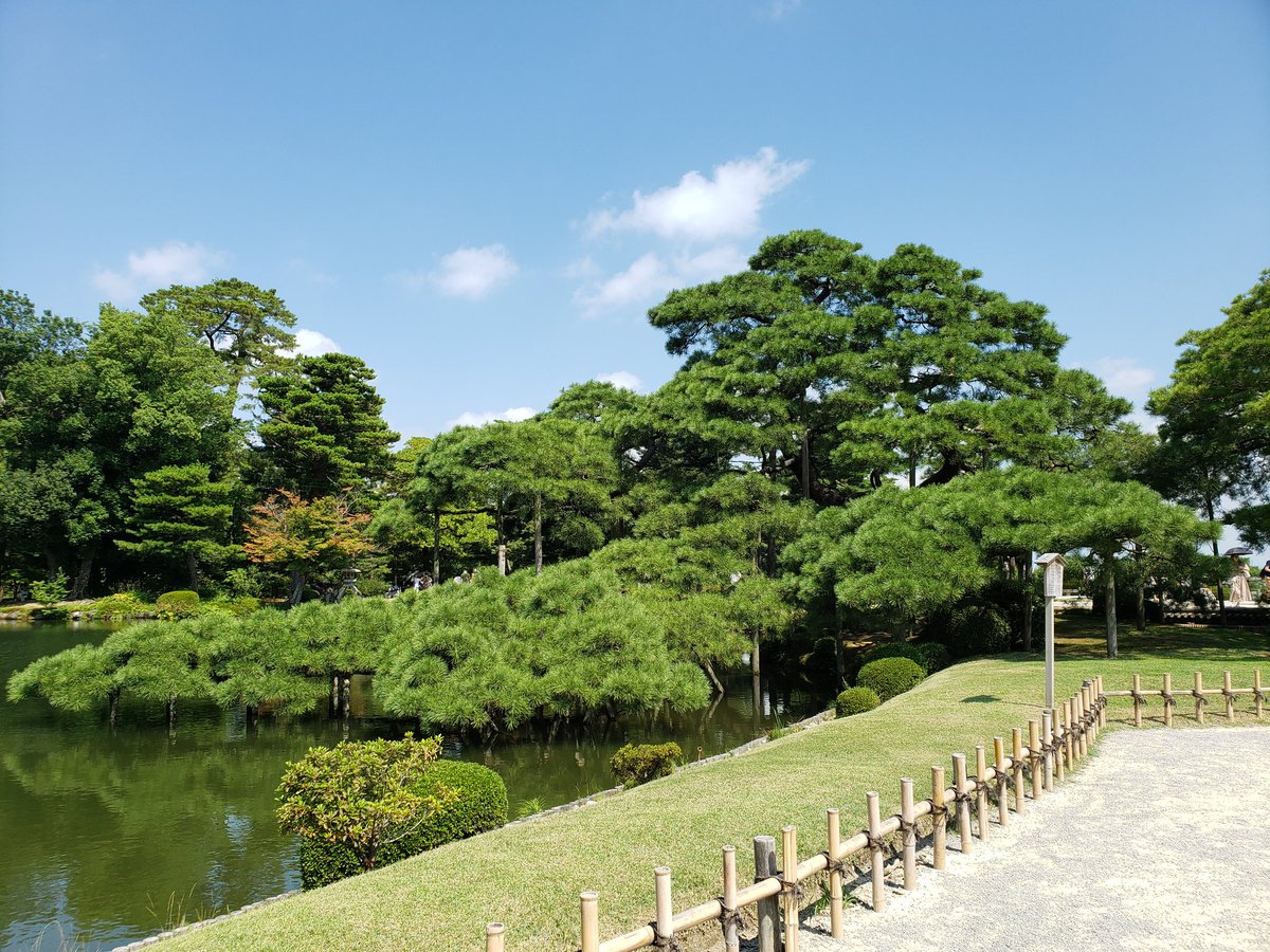 totakeke_09_16's tweet photo. 金沢の兼六園、息子が2006年石川県珠洲市で行われたボーイスカウト第14回日本ジャンボリー大会で帰りに立ち寄ったと言ってました。珠洲市は石川県の北端、車で家族で見学に行きました。とても遠かったです。自然いっぱいのステキな所でした。 #石川県 #兼六園 #14NJ https://t.co/0795BwyU1r