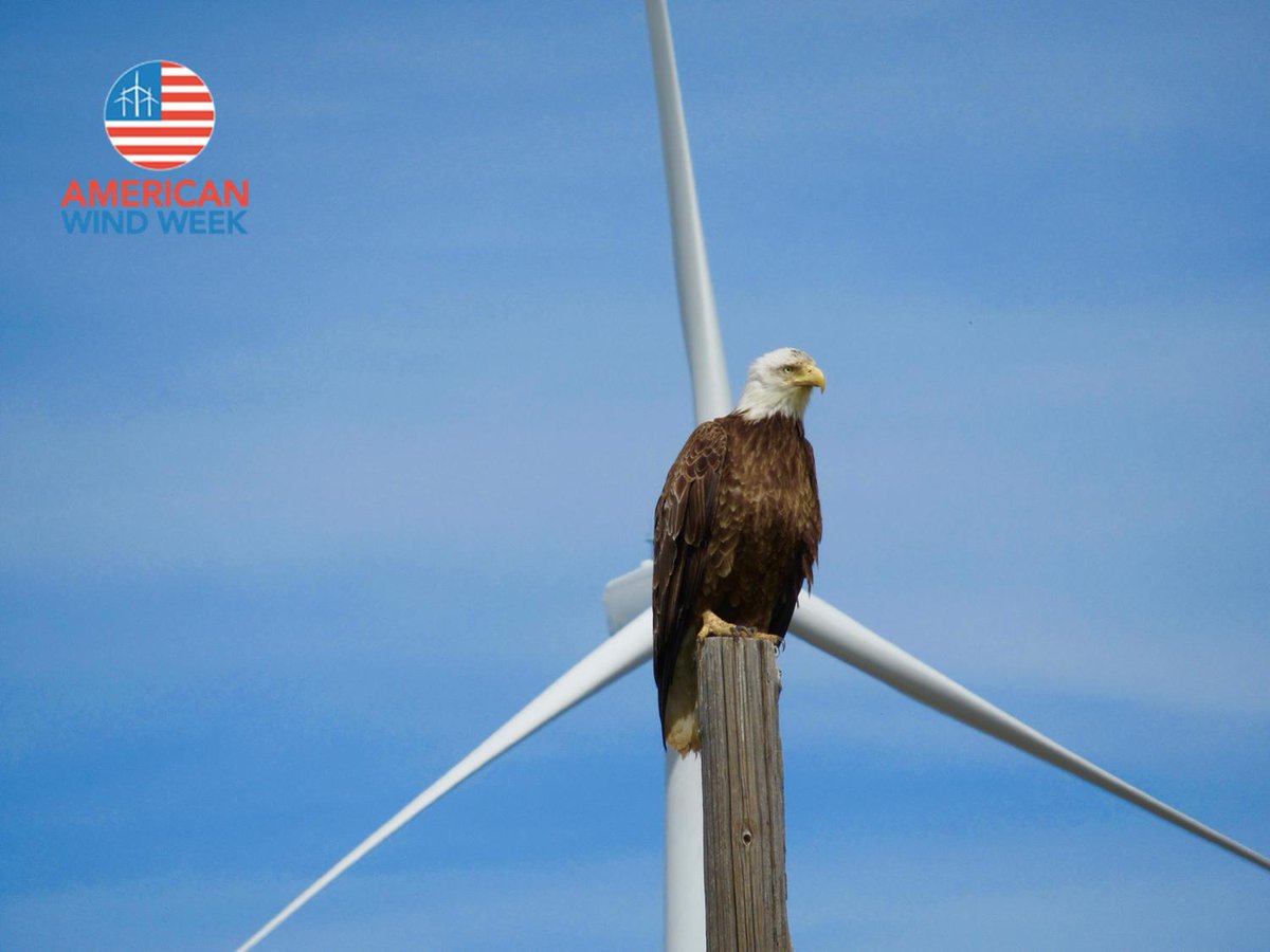 techsafetylines's tweet photo. Tech Safety Lines would like to thank all of the highly skilled wind technicians that help bring wind energy to our great country! #americanwindweek #windtechnicians #windindustry #windenergy #safetyprofessionals https://t.co/qxTkWaQPVW