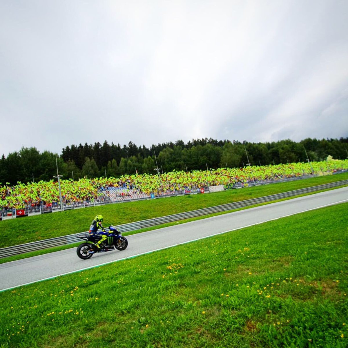 fanclubVR46's tweet photo. Gara 🏁 P4 💪🏻👏🏻 dai dai @ValeYellow46 siamo tutti con te 💛
#POPOLOGIALLO https://t.co/mrJaCCFNGO