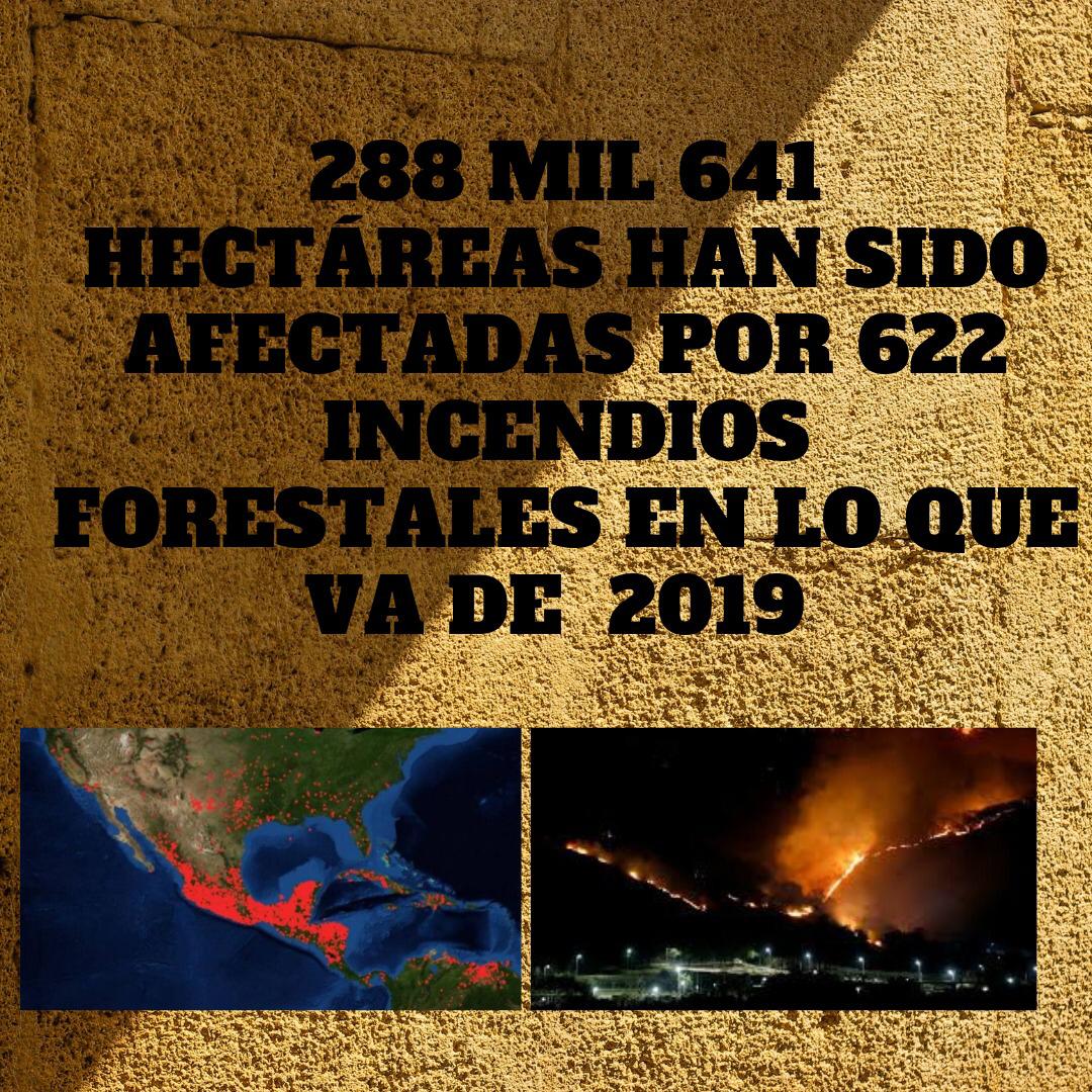 ALRI CCM tweet media