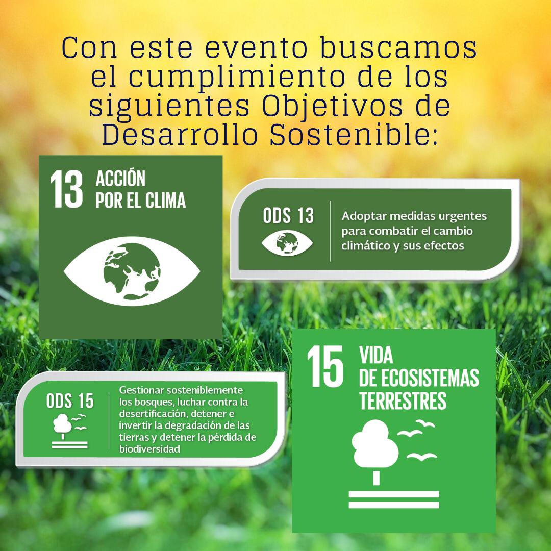 ALRI CCM tweet media