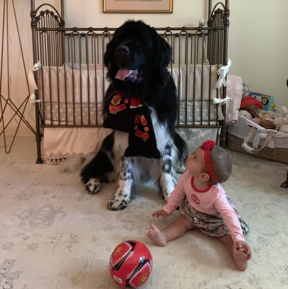 Wahid_dorany's tweet image. Manchester fans are getting bigger! We are ready for the new season #MyPLMorning #MUCHH @ManUtd @PLinUSA @NBCSportsSoccer @premierleague