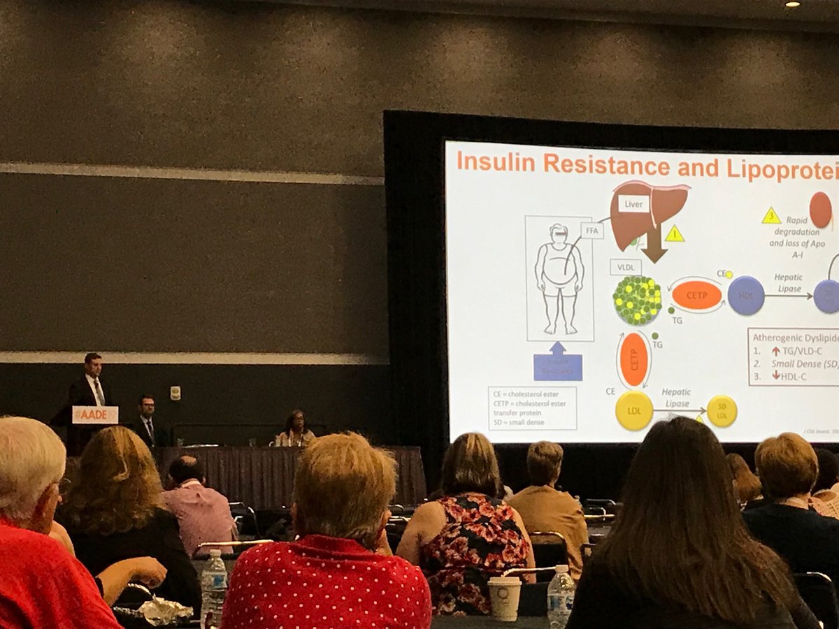 Evan Sisson tweet media