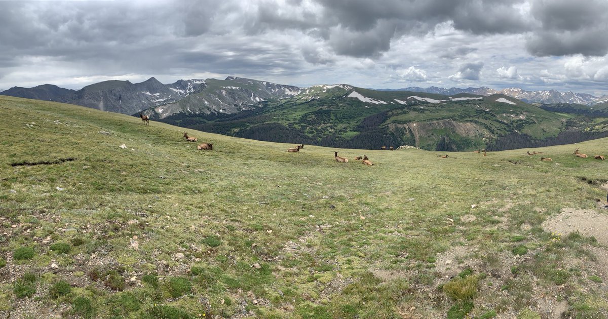maydenreeblake's tweet photo. 🏔 https://t.co/JRD59bwVLJ
