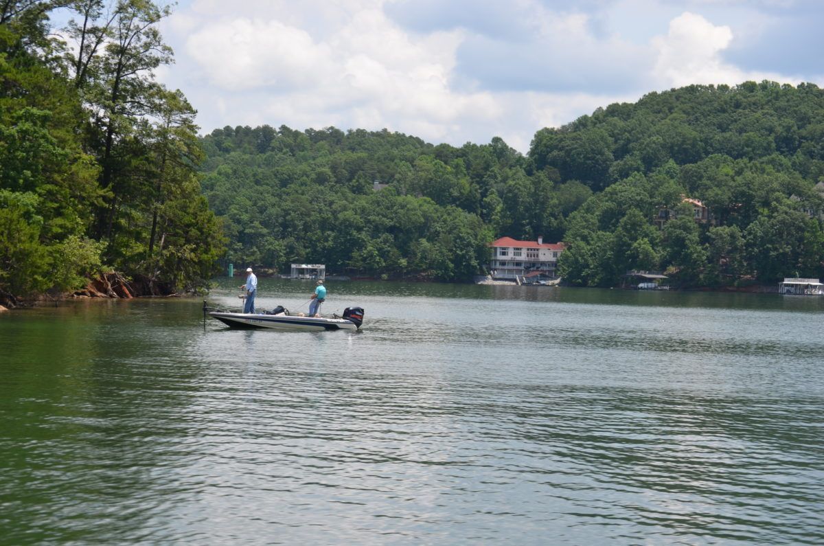 LakeLanier.com tweet media