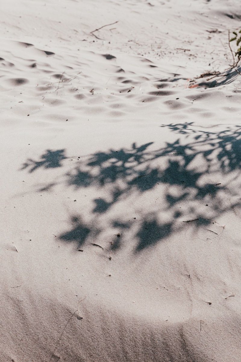 Simple stillness
Feature: <a href="/martenbjork/">Mårten Björk</a>
unsplash.com/martenbjork