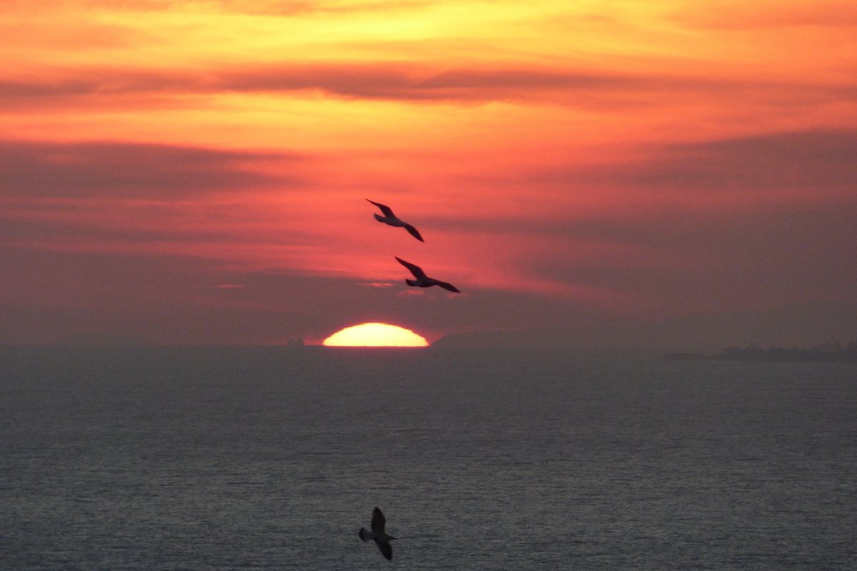 BretPhotos's tweet photo. Picture taken some months ago from Tossa (Catalonia)
That's the last floors of the 2 tallest skyscrapers in Barcelona, over the horizon in front of #sunset. Earth is round although there are people who still don't believe it. 3ºpic: close view https://t.co/rWT8NFC1OF #landscape https://t.co/mf4VJboAV1