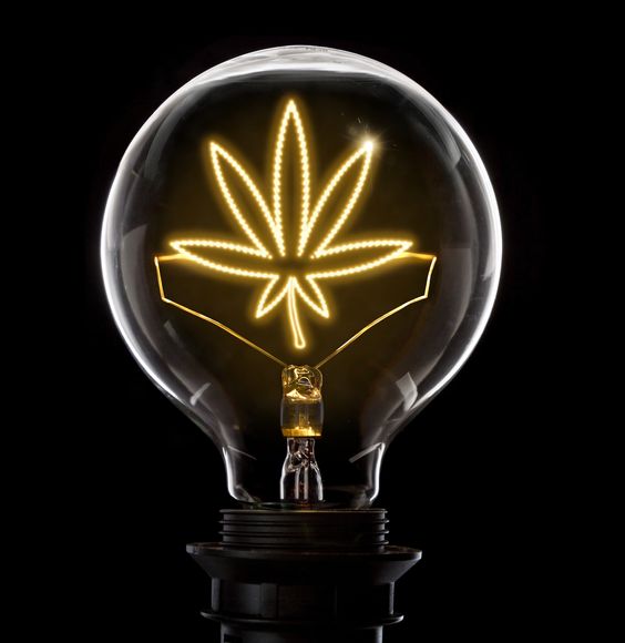 luvbrite's tweet photo. When you get the bright idea to schedule a delivery 😏 #GetItDelivered #LuvbriteDelivery #westla #santamonica #losangeles https://t.co/lviBny36Ff