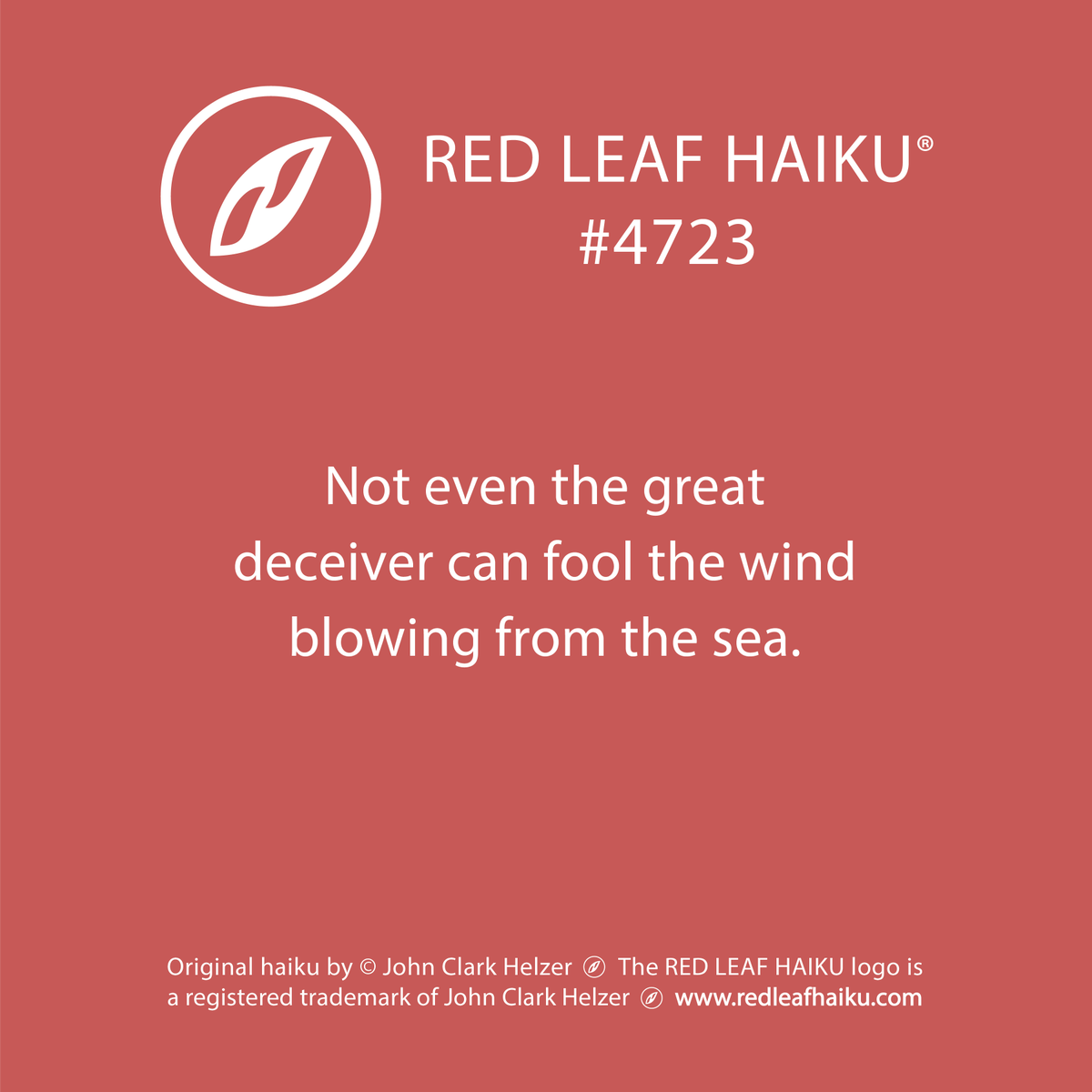 redleafhaiku's tweet photo. Not even the great 
deceiver can fool the wind 
blowing from the sea. 
🍁 Red Leaf Haiku by © John Clark Helzer 
#redleafhaiku #haiku #poetry #poem #greatdeceiver #foolthewind #thesea https://t.co/JEC4uNhjp8