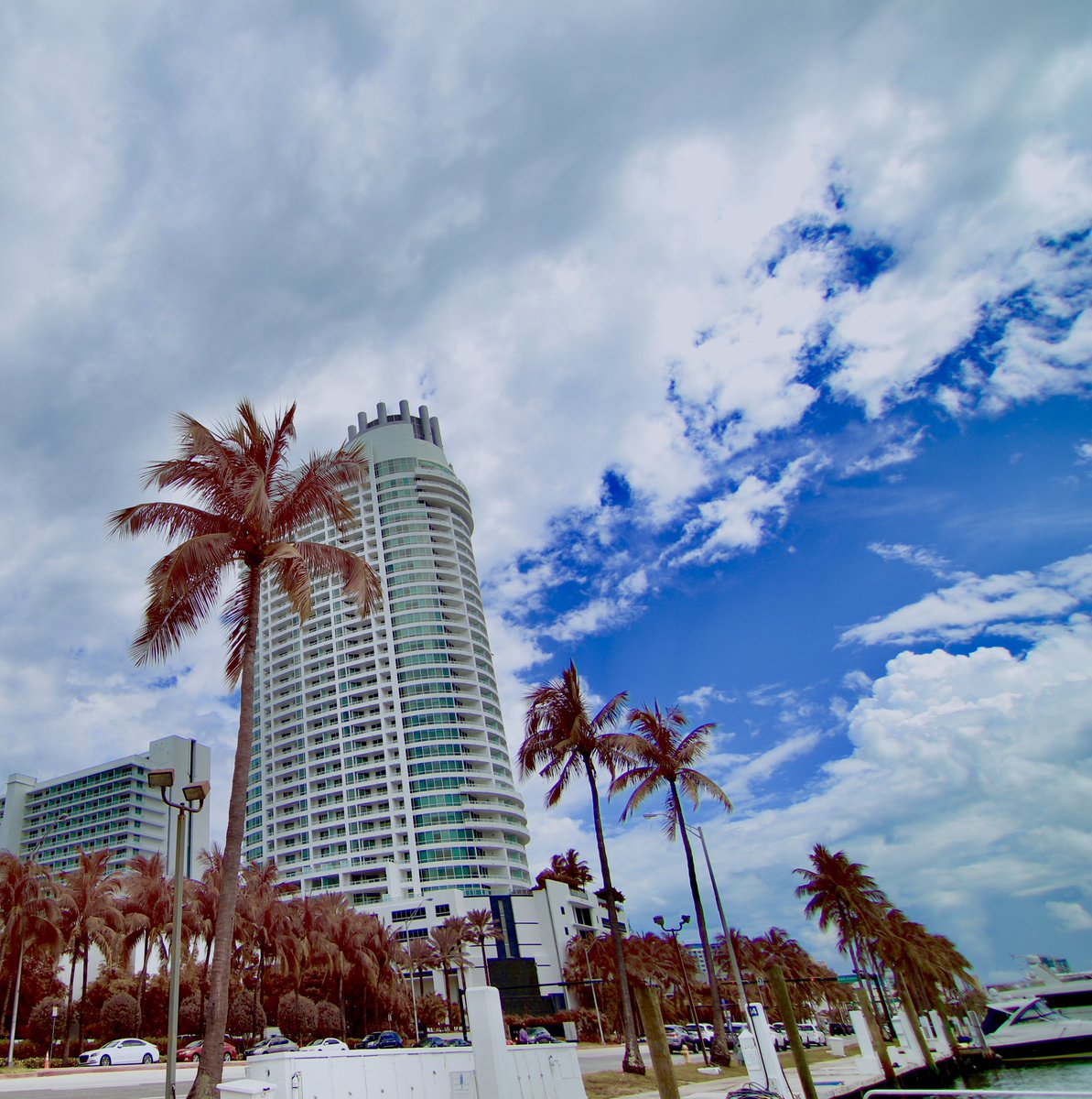 KennethDurazzo's tweet photo. More photos of #Miami with my modified #fullspectrum #canon, post processed on my iPhone with photos. You can still see the vivid #infrared and #ultraviolet even with the #expodisc I used to adjust the white balance. https://t.co/yd4Ztu0EKL