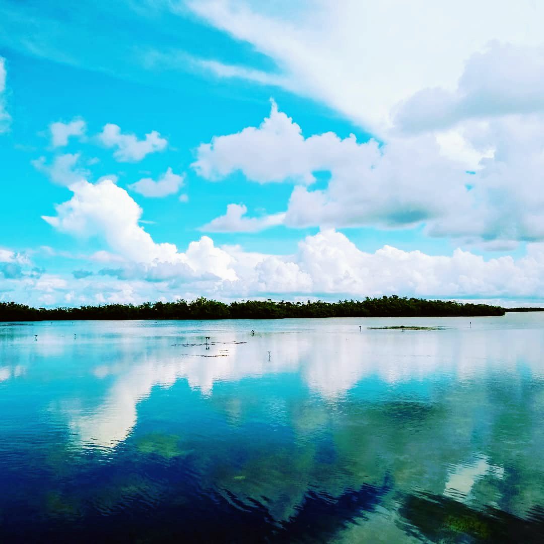 sherilkw's tweet photo. A gorgeous day for a paddle 
#paddleboarding #flkeys #sundayfunday https://t.co/k4YBtc0Gr3