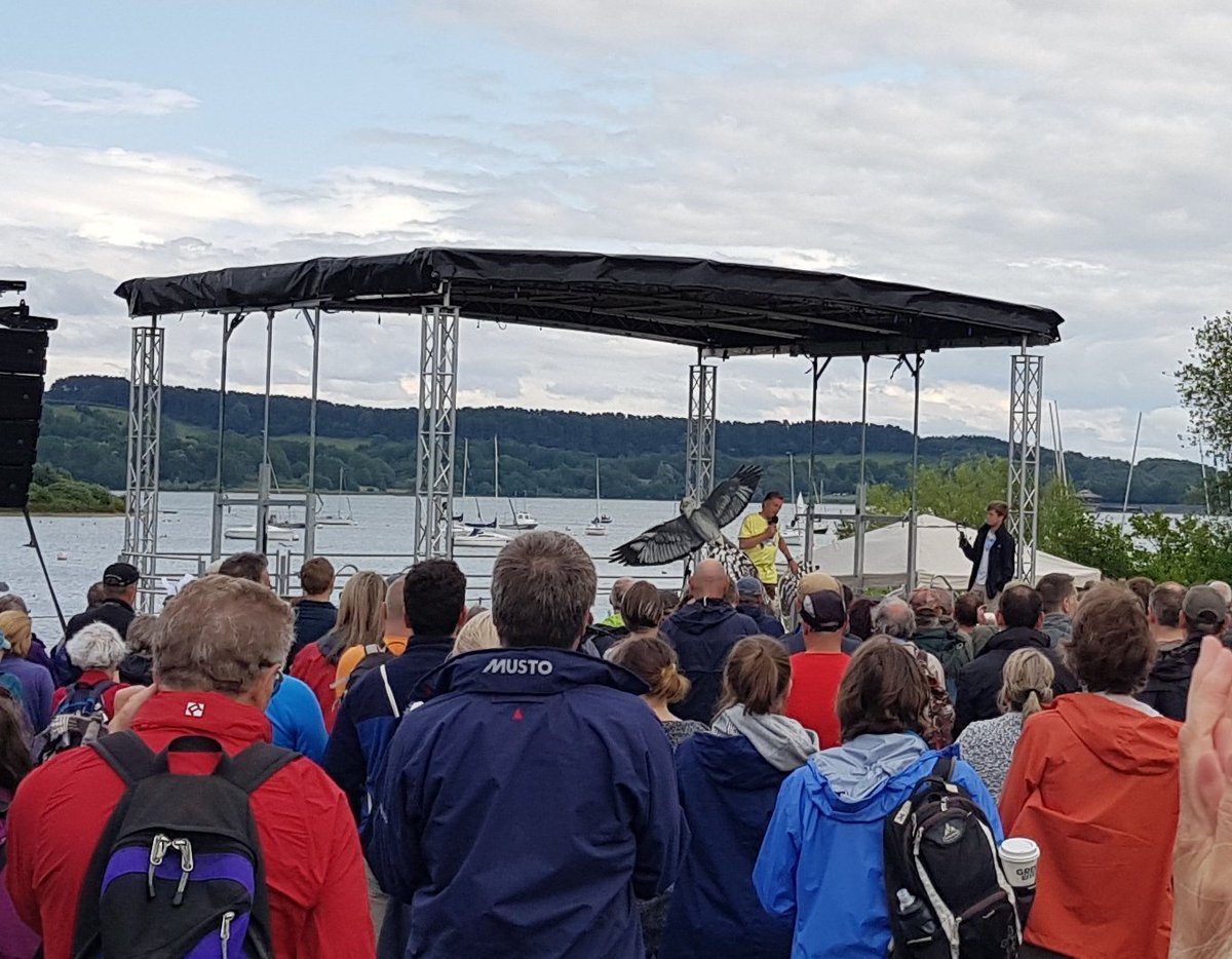 #lovehenharrier #wildjustice #ExtinctionRebellion #Carsington