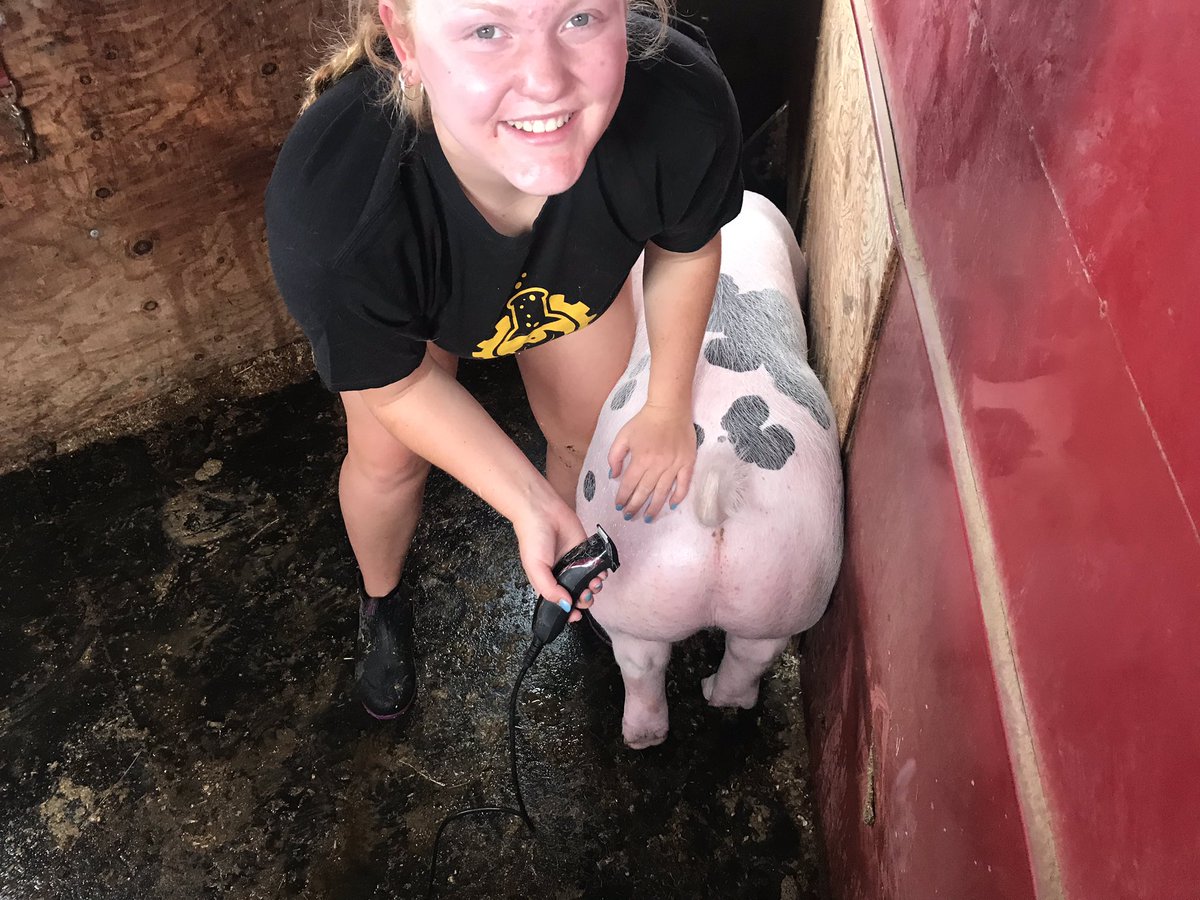 Chrissy4Shelton's tweet photo. On Sundays we shave swine #fairready https://t.co/6zk0eUkIFi