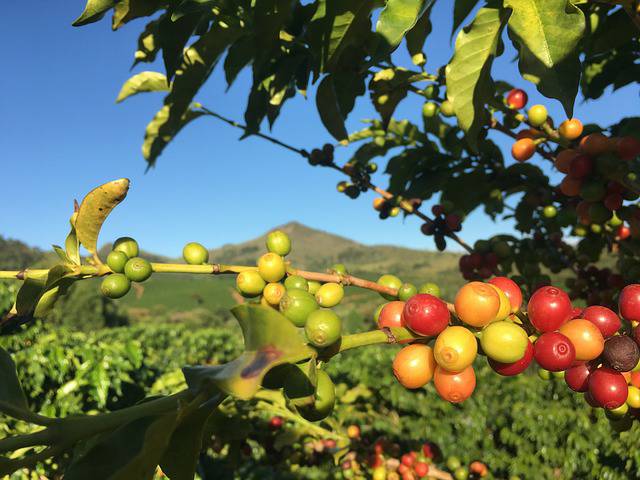 EndiroCoffee's tweet photo. Only 10% of the total value created by the global coffee trade is reaching producing countries. https://t.co/diZSKUYLpz