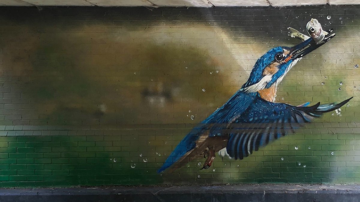 Artwork under a bridge in Oxford, a lovely spot to walk, look for nature and stumble across the odd fairy door!  #trapgrounds @LittleOxplorers