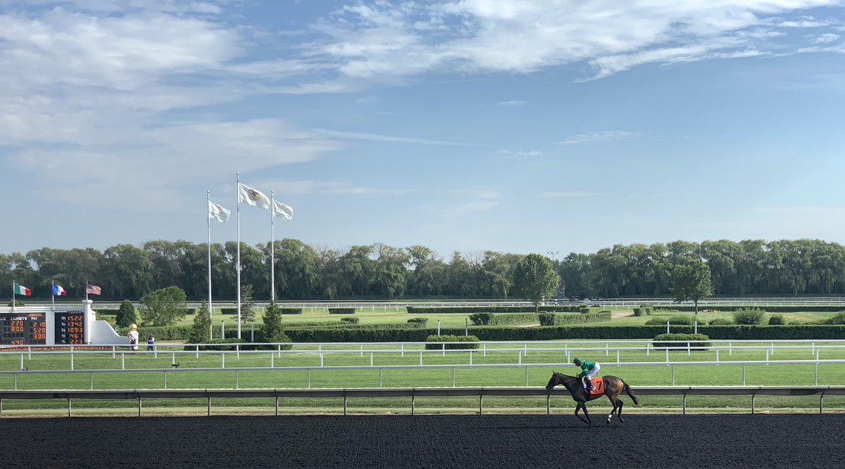 WindyCityAmanda's tweet photo. What a beautiful day, yesterday at the always picture ๐ธ perfect @Arlington_Park for #Million37! It was one for the record books ๐ #SweetHomeAP https://t.co/wfJ1kNic5i