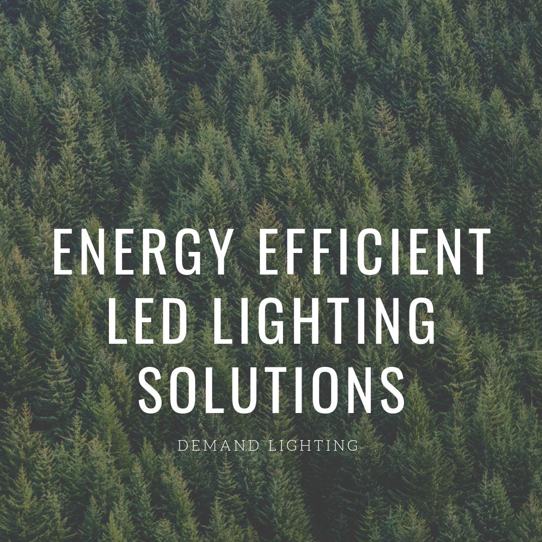 Demandlighting's tweet photo. Looking to find lighting solutions and remain energy efficient? We take pride in our green solutions, and saving our customers money!
-
Get in touch with Demand Lighting today for the best in LED solutions.
-
https://t.co/NUmsesbojP

#demandlighting #ledlights #greensolutions https://t.co/bdM86UfGmh