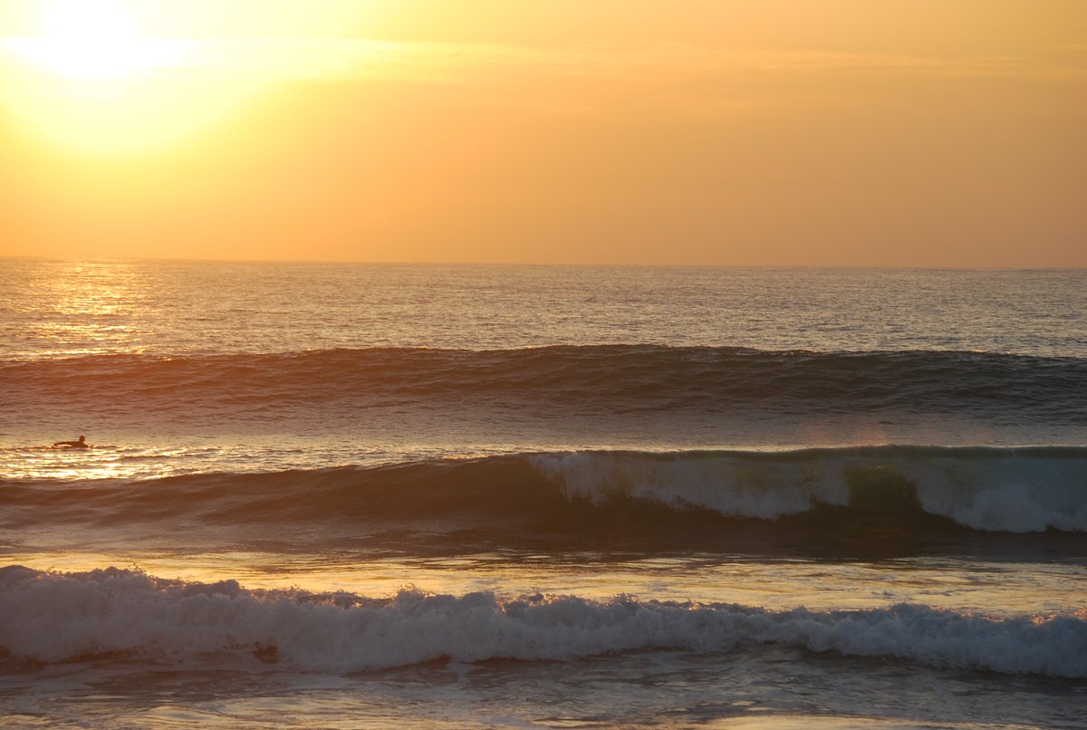 9Pies Escuela de Surf El Palmar tweet media