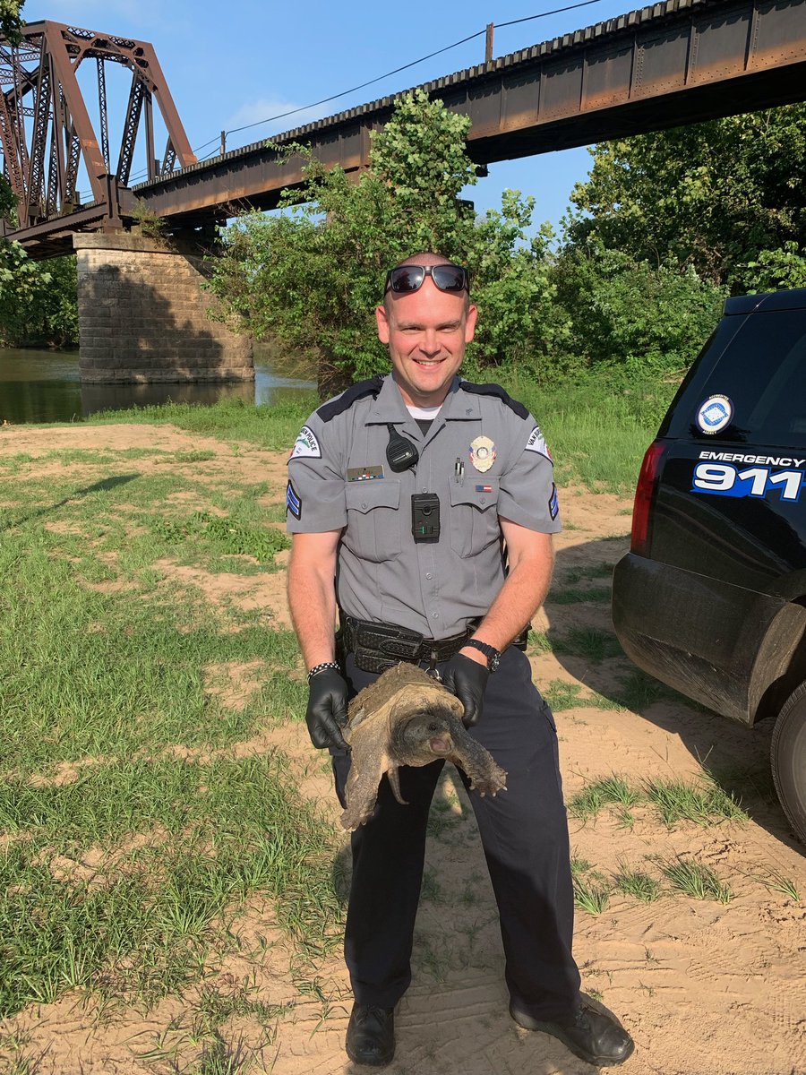 vanburenpd's tweet photo. This turtle was found jay walking at the intersection of 15th and Main! It was briefly detained by Cpl. Jensen, who rescued it and then released it at the Arkansas River. https://t.co/T7YIex9CEf