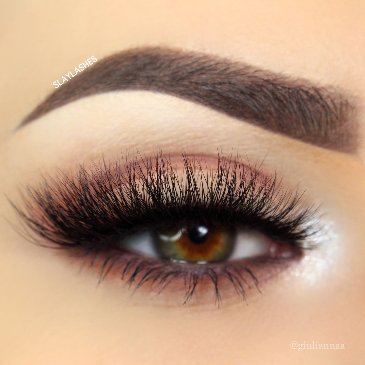 slaylashes's tweet photo. Back To School Sale Is Hotter The A Cheetos  🔥 🔥 🔥  🔥 https://t.co/XNW7vuCH6M