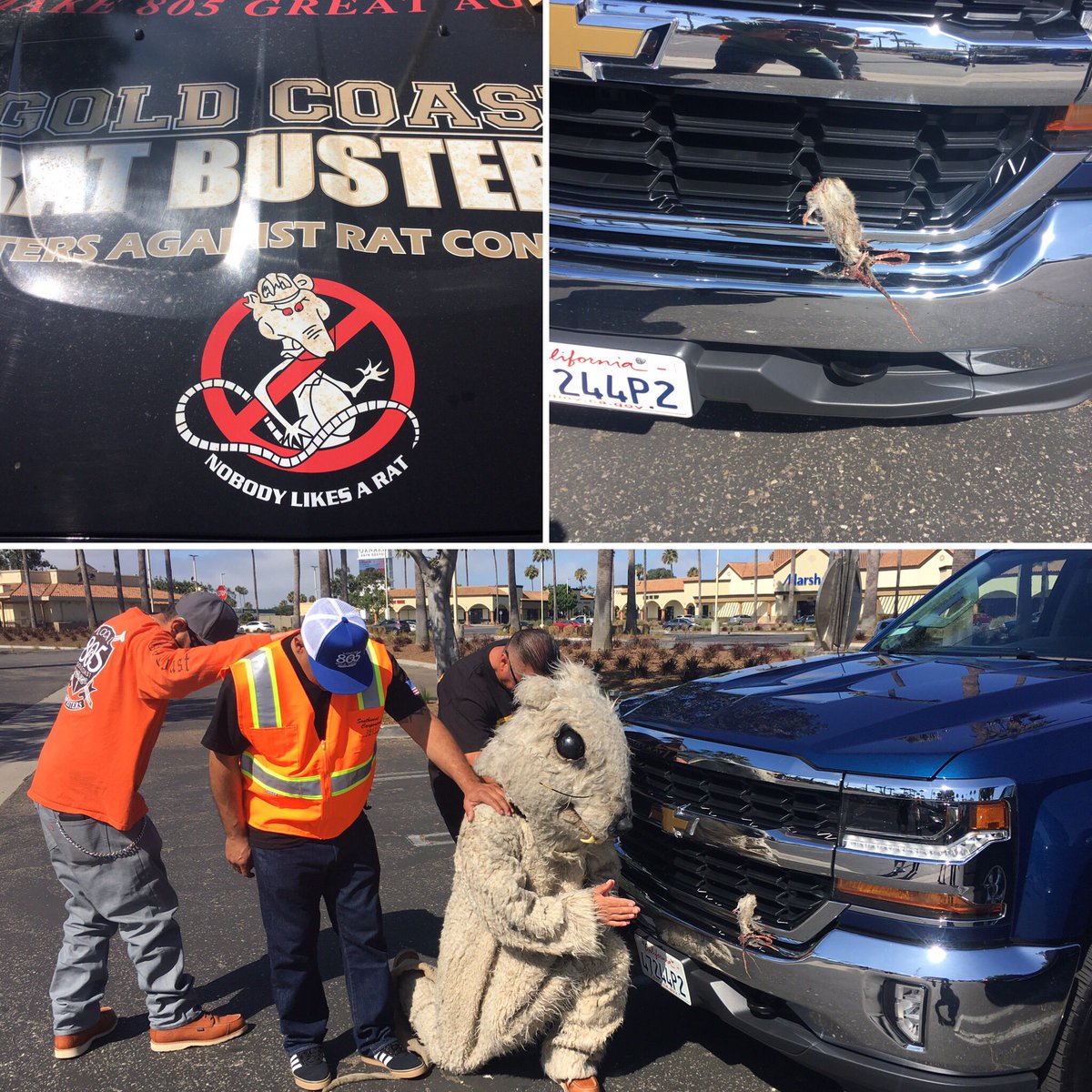 805RatBuster's tweet photo. A moment of silence for the fallen RAT at today’s labor dispute. @DCHLexusofOxnar you should have kept those rat contractors out of our community.
#FairWages #AreaStandards #LaborDispute #NoRats https://t.co/copS5YyvO1