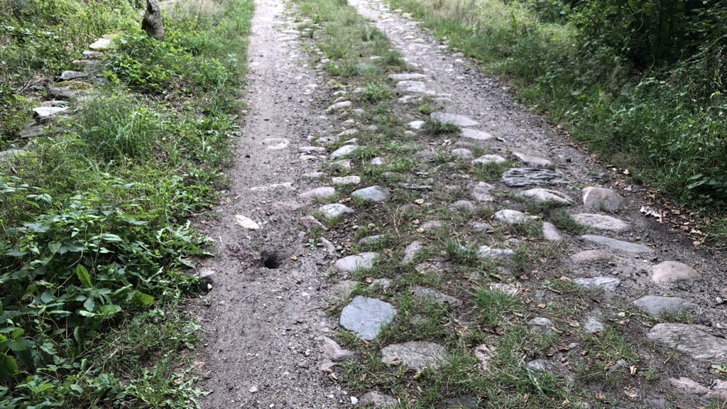 Olli D. aus M. tweet media