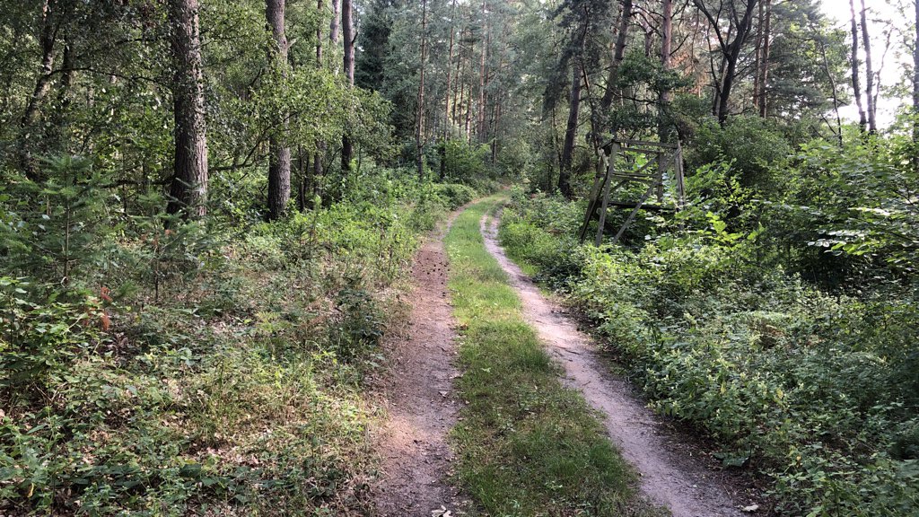 Olli D. aus M. tweet media