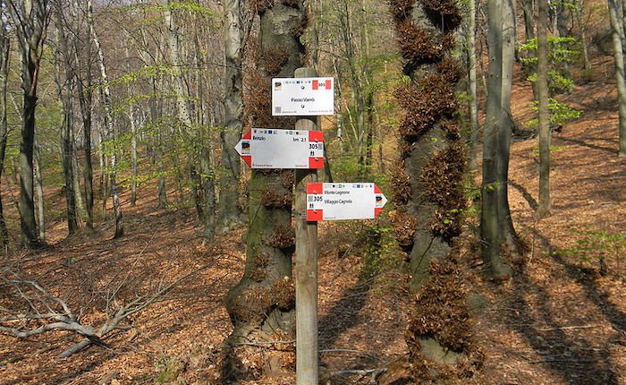 LuinoNotizie's tweet photo. Da #DueCossani al #Roccolo "a passo lento" per scoprire natura e sentieri con il @CAI150 #Luino https://t.co/2o1trDuL3m https://t.co/S7FvmwTfW0