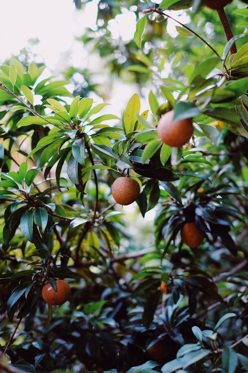 Azeem Azeez tweet media